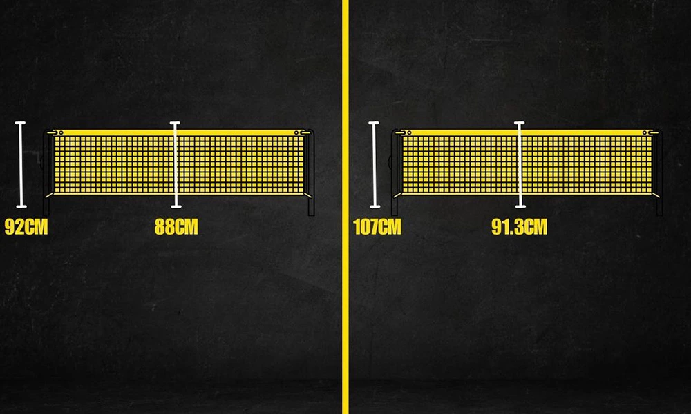 Padel VS Tennis : Differences Between Tennis Sports